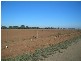THYRA ROAD, Moama NSW 2731