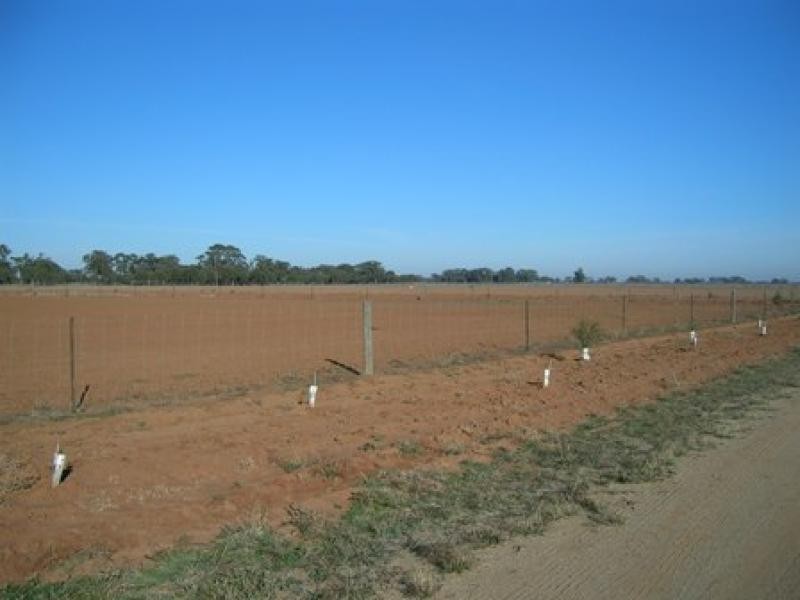 THYRA ROAD, Moama NSW 2731