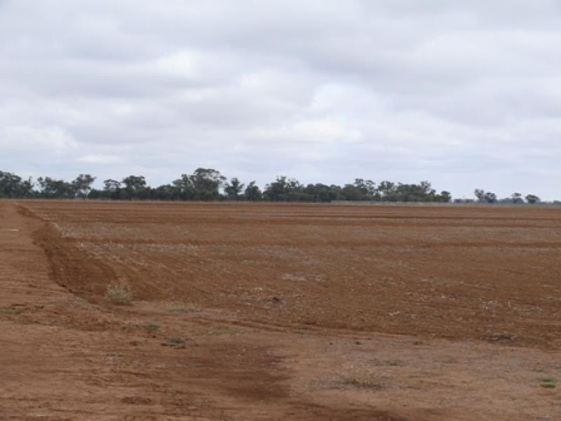 THYRA ROAD, Moama NSW 2731