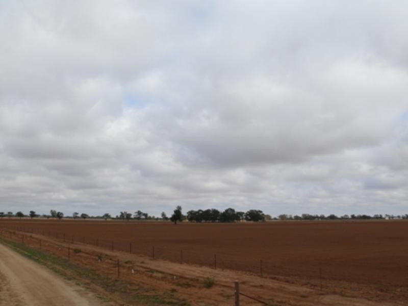 THYRA ROAD, Moama NSW 2731