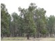 THYRA ROAD, Moama NSW 2731
