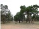THYRA ROAD, Moama NSW 2731