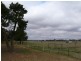 THYRA ROAD, Moama NSW 2731