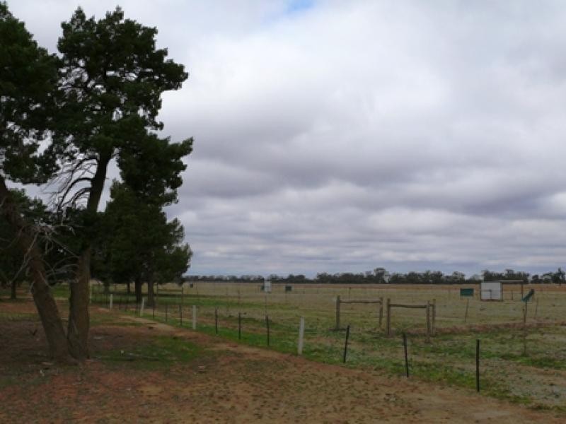 THYRA ROAD, Moama NSW 2731