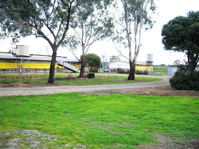 1240 SINGER ROAD, Lockington VIC 3563