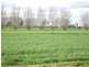 1240 SINGER ROAD, Lockington VIC 3563