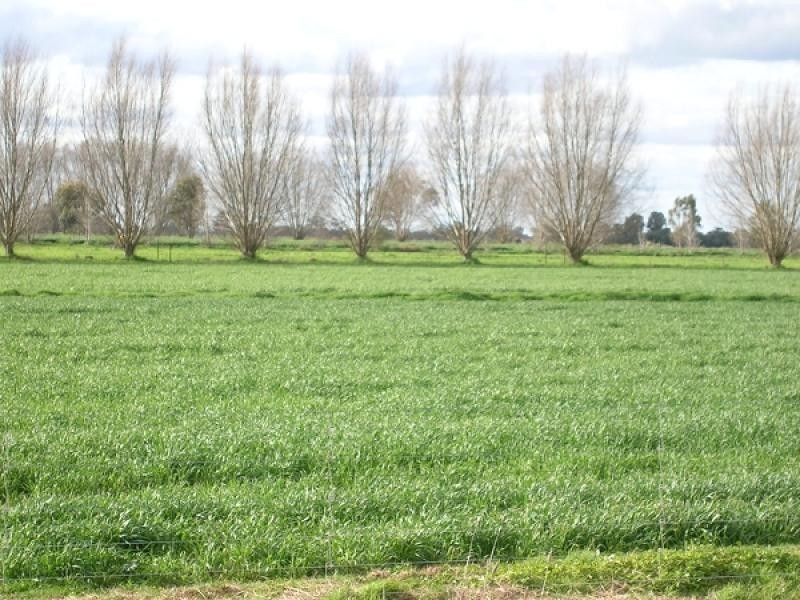 1240 SINGER ROAD, Lockington VIC 3563