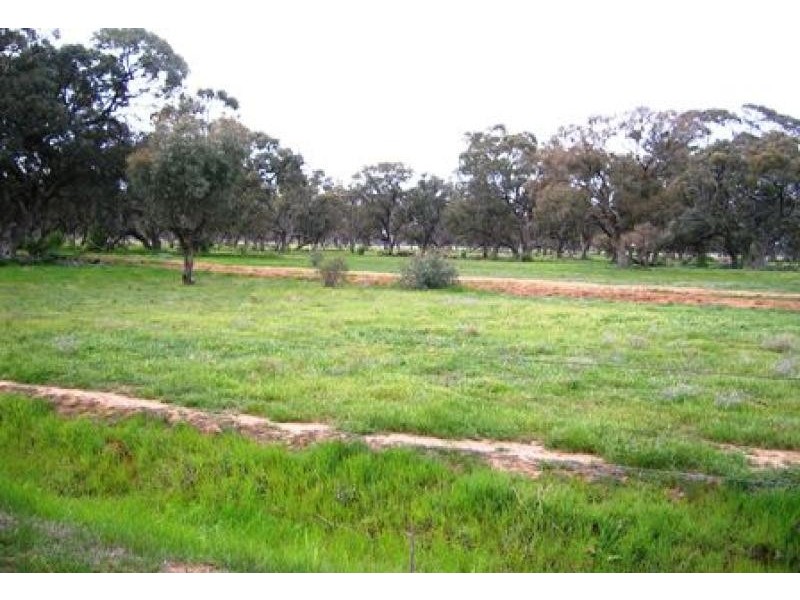 MURRAY VALLEY HIGHWAY, Echuca VIC 3564