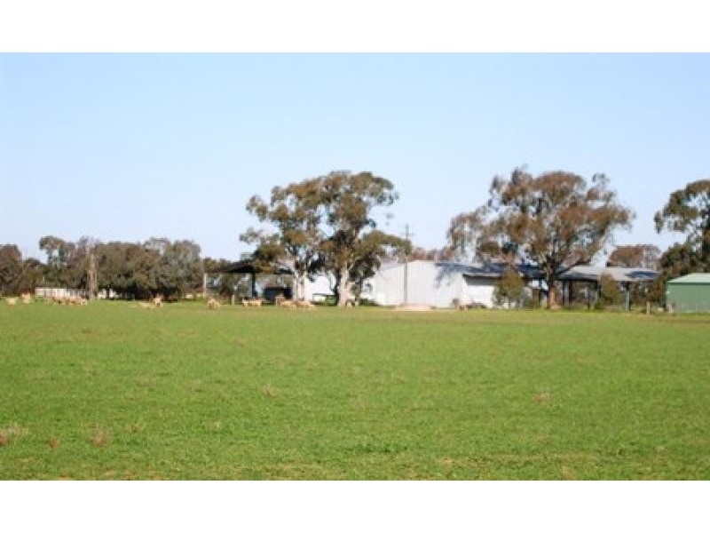 THYRA ROAD, Moama NSW 2731