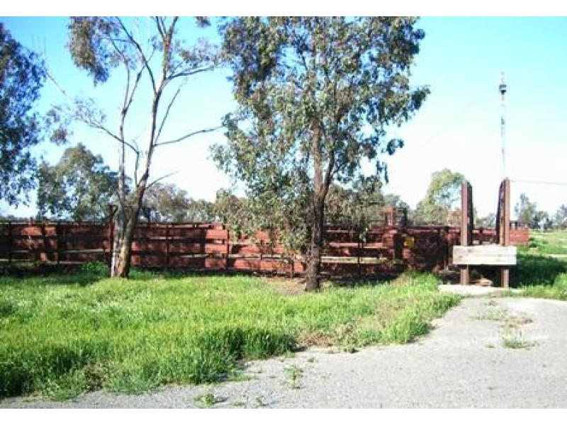 THYRA ROAD, Moama NSW 2731
