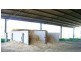 THYRA ROAD, Moama NSW 2731