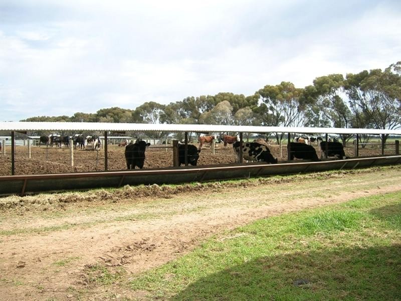 STRATHALLAN ROAD, Lockington VIC 3563