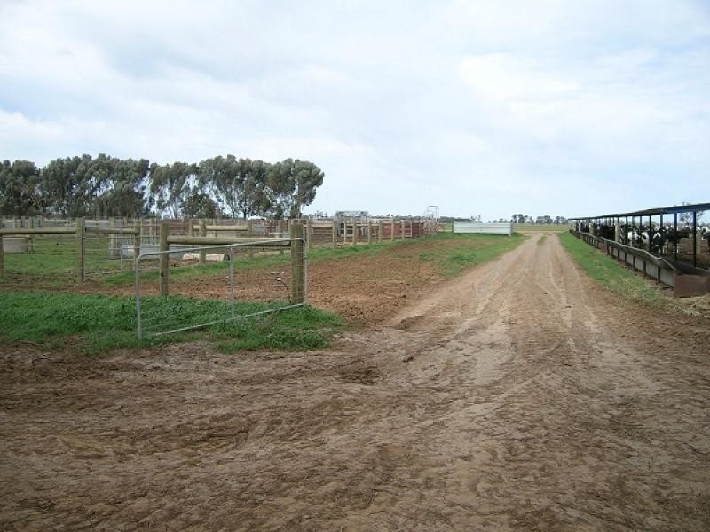 STRATHALLAN ROAD, Lockington VIC 3563