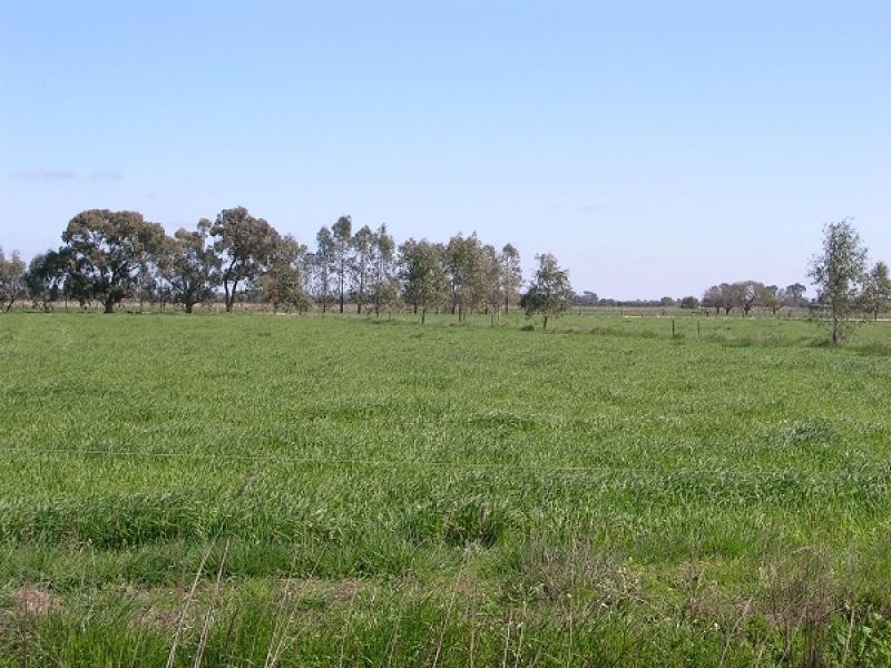 Echuca Village VIC 3564