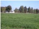 Echuca Village VIC 3564