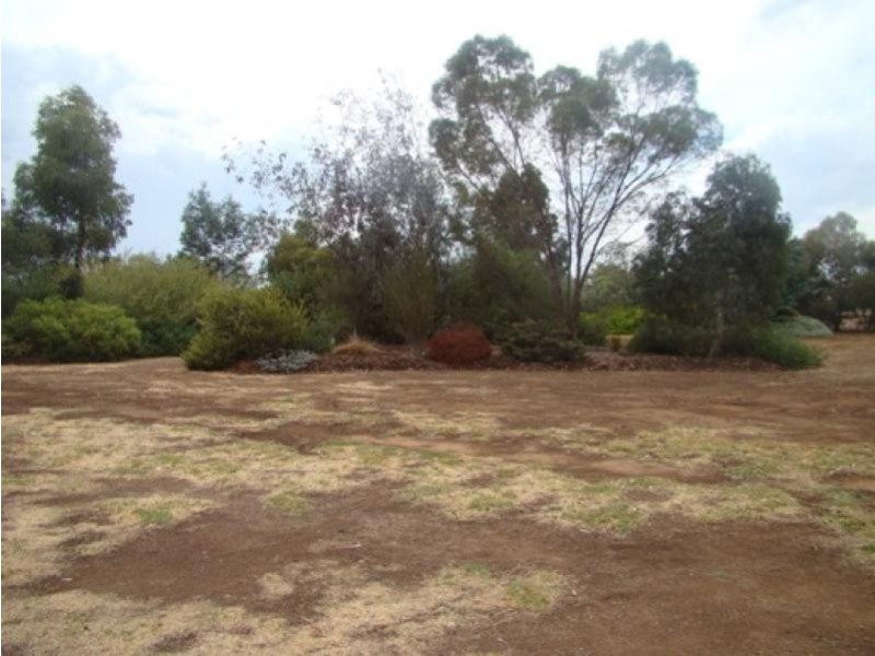 11 Cohen Street, Rochester VIC 3561