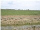 Echuca VIC 3564