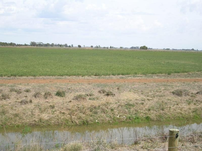 Echuca VIC 3564
