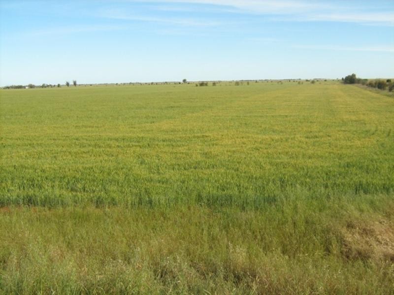 1112 Smith Road, Terrick Terrick East VIC 3573