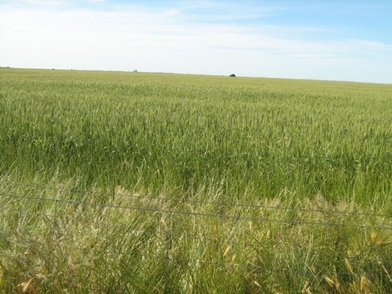 1112 Smith Road, Terrick Terrick East VIC 3573