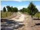 216 TANDARRA LANE, Moama NSW 2731