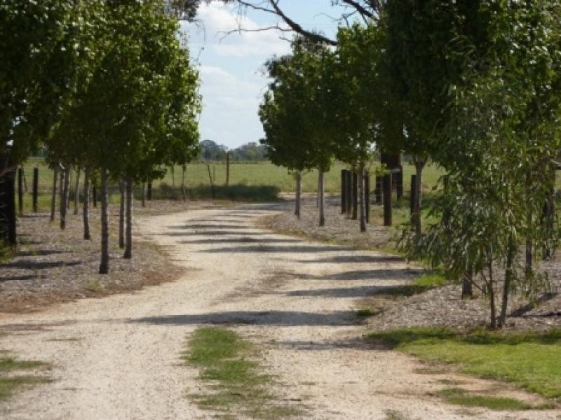 216 TANDARRA LANE, Moama NSW 2731