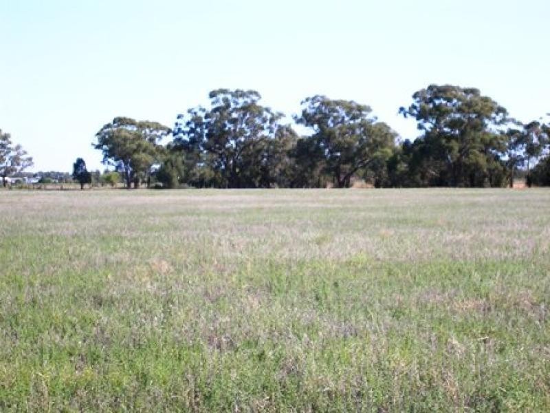 Lot 214 Gulval Road, Moama NSW 2731