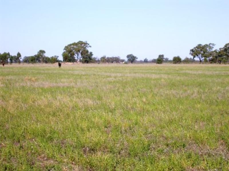 Lot 214 Gulval Road, Moama NSW 2731