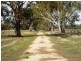 185 Moors Road, Barmah VIC 3639