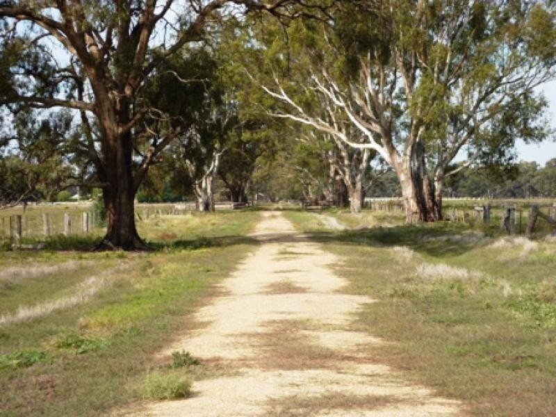 185 Moors Road, Barmah VIC 3639