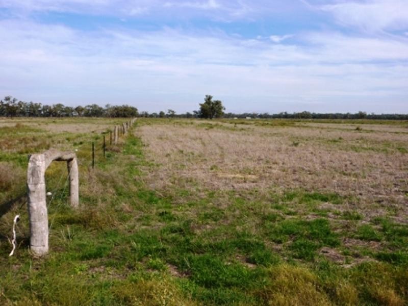 185 Moors Road, Barmah VIC 3639