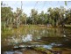 185 Moors Road, Barmah VIC 3639