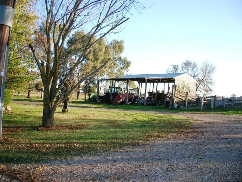 1295 Mitiamo Road, Echuca VIC 3564