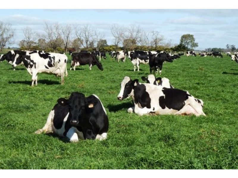 360 CENTRE ROAD, Nathalia VIC 3638