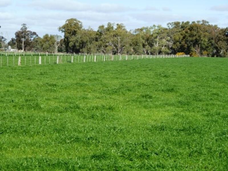 360 CENTRE ROAD, Nathalia VIC 3638