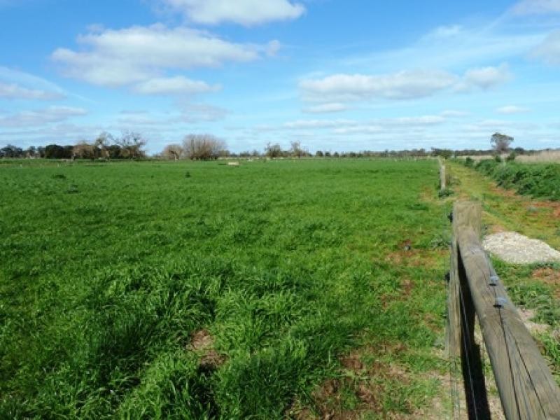 360 CENTRE ROAD, Nathalia VIC 3638