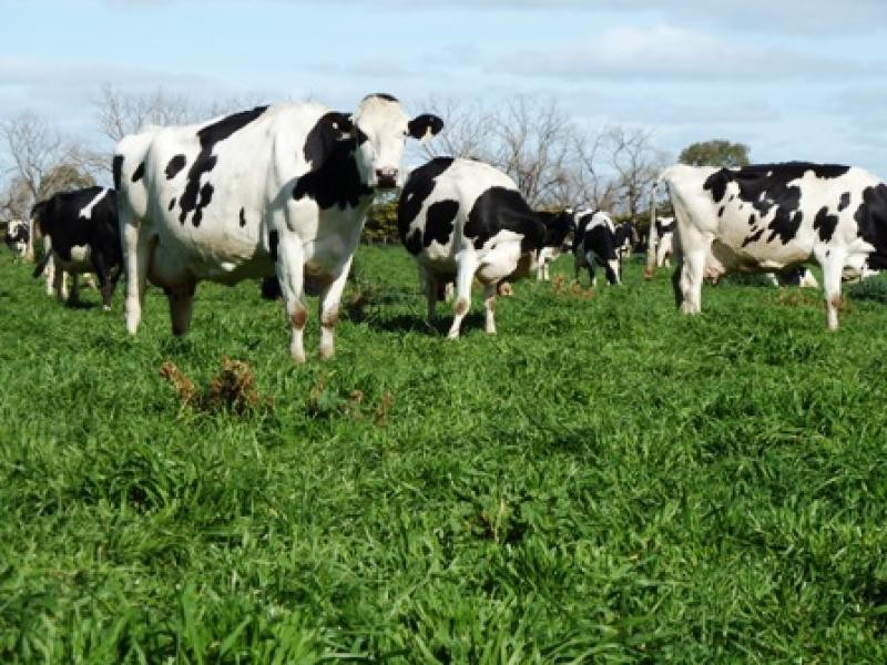 360 CENTRE ROAD, Nathalia VIC 3638