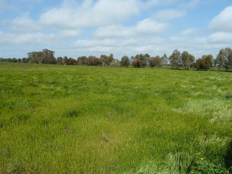 322 Wharparilla Road, Echuca VIC 3564