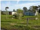 1816 Matheson Road, Tongala VIC 3621