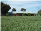 590 Stratton Road, Echuca VIC 3564