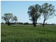 590 Stratton Road, Echuca VIC 3564