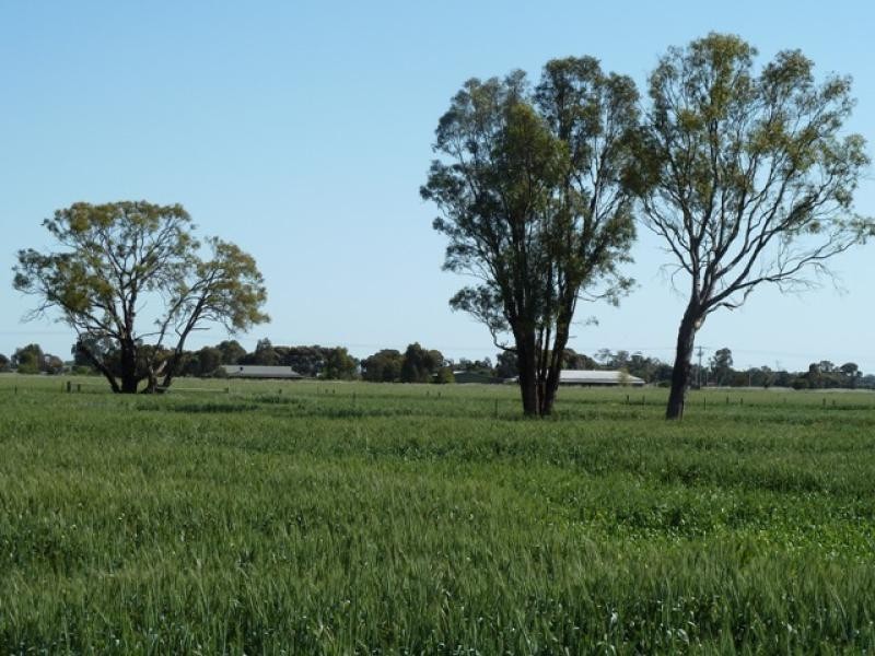 590 Stratton Road, Echuca VIC 3564
