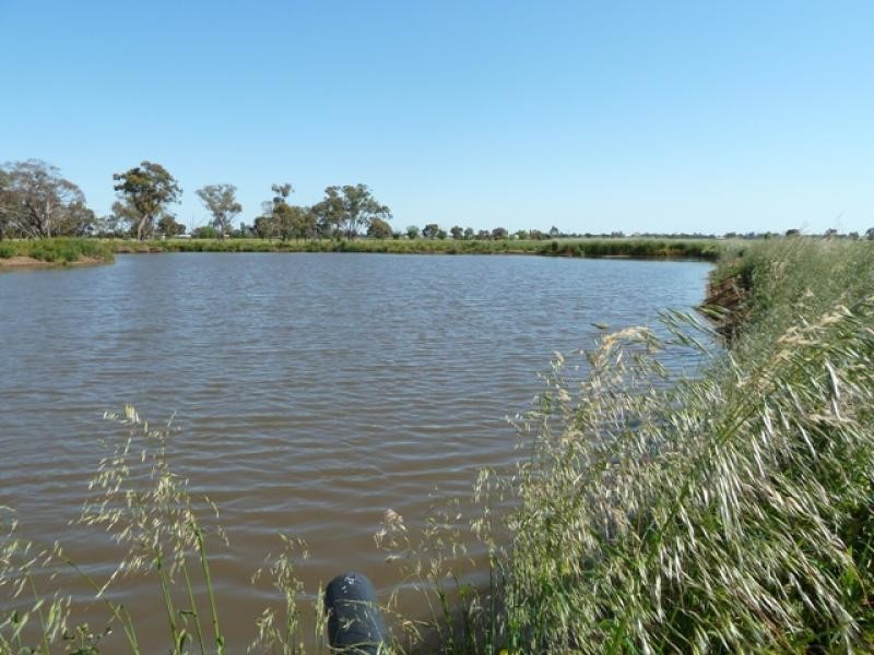 590 Stratton Road, Echuca VIC 3564