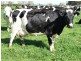 Nathalia VIC 3638