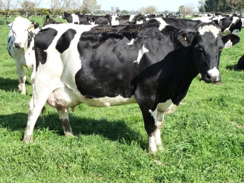 Nathalia VIC 3638