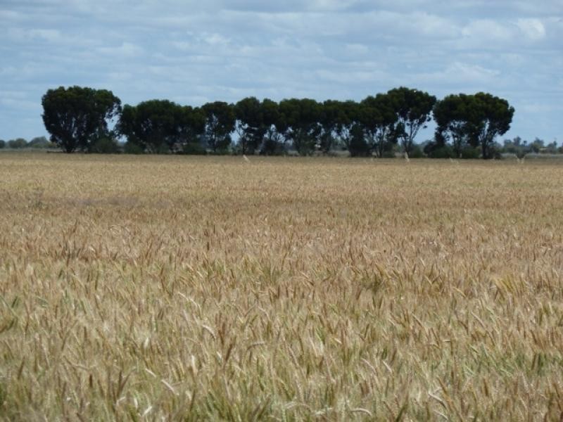 Lot 2/ Wharparilla Road, Echuca VIC 3564