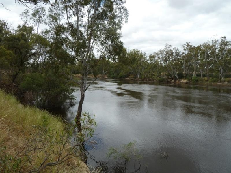 218 O’Dwyer Road, Echuca VIC 3564