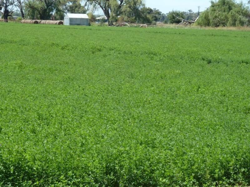 7730 Hansen Road, Ballendella VIC 3561