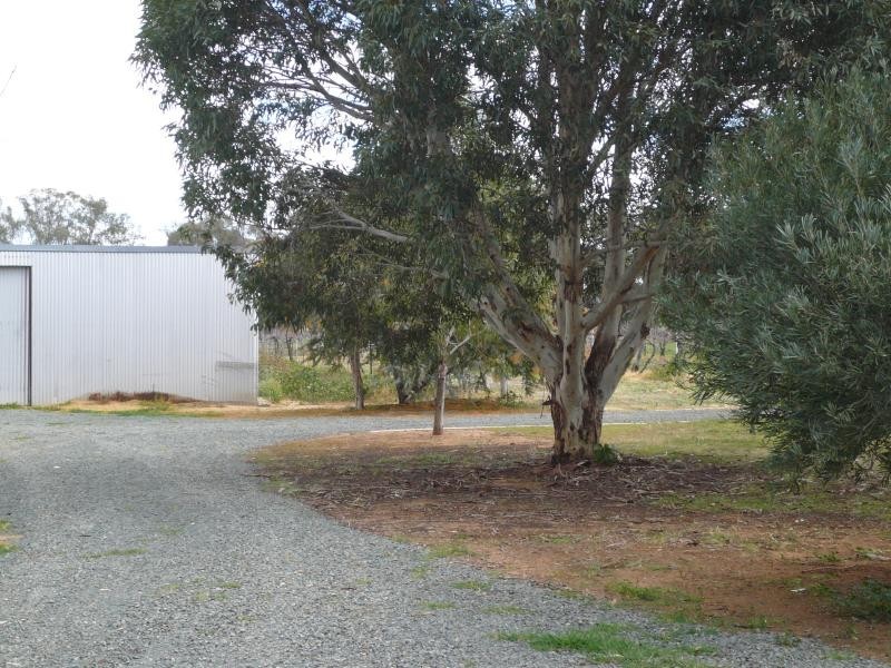 133 PIANTA ROAD, Echuca VIC 3564