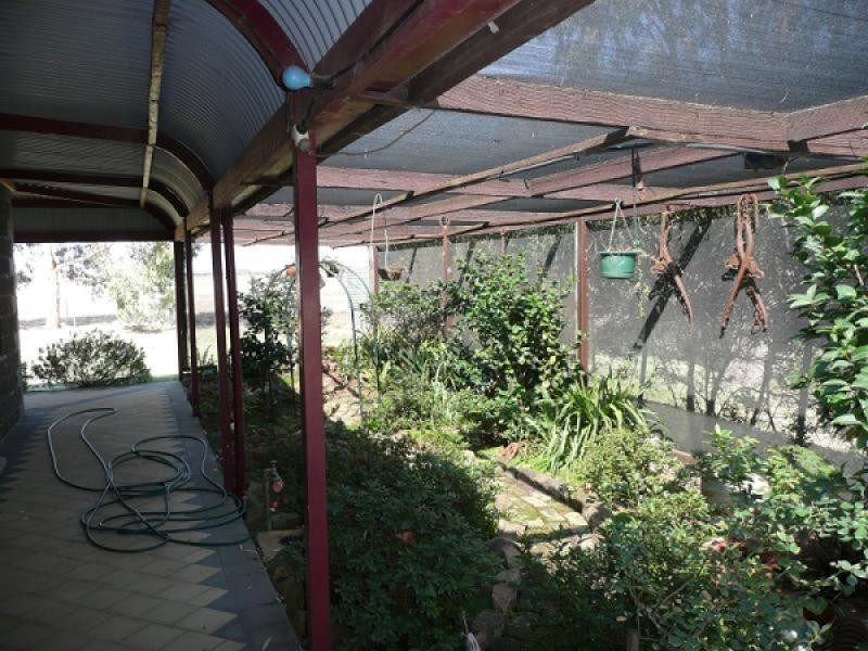 258 Wharparilla Road, Echuca VIC 3564